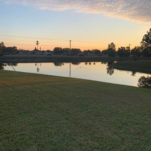 Meet your Posher, Tony